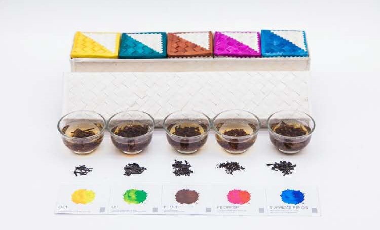 Reed Black Tea Gift Box